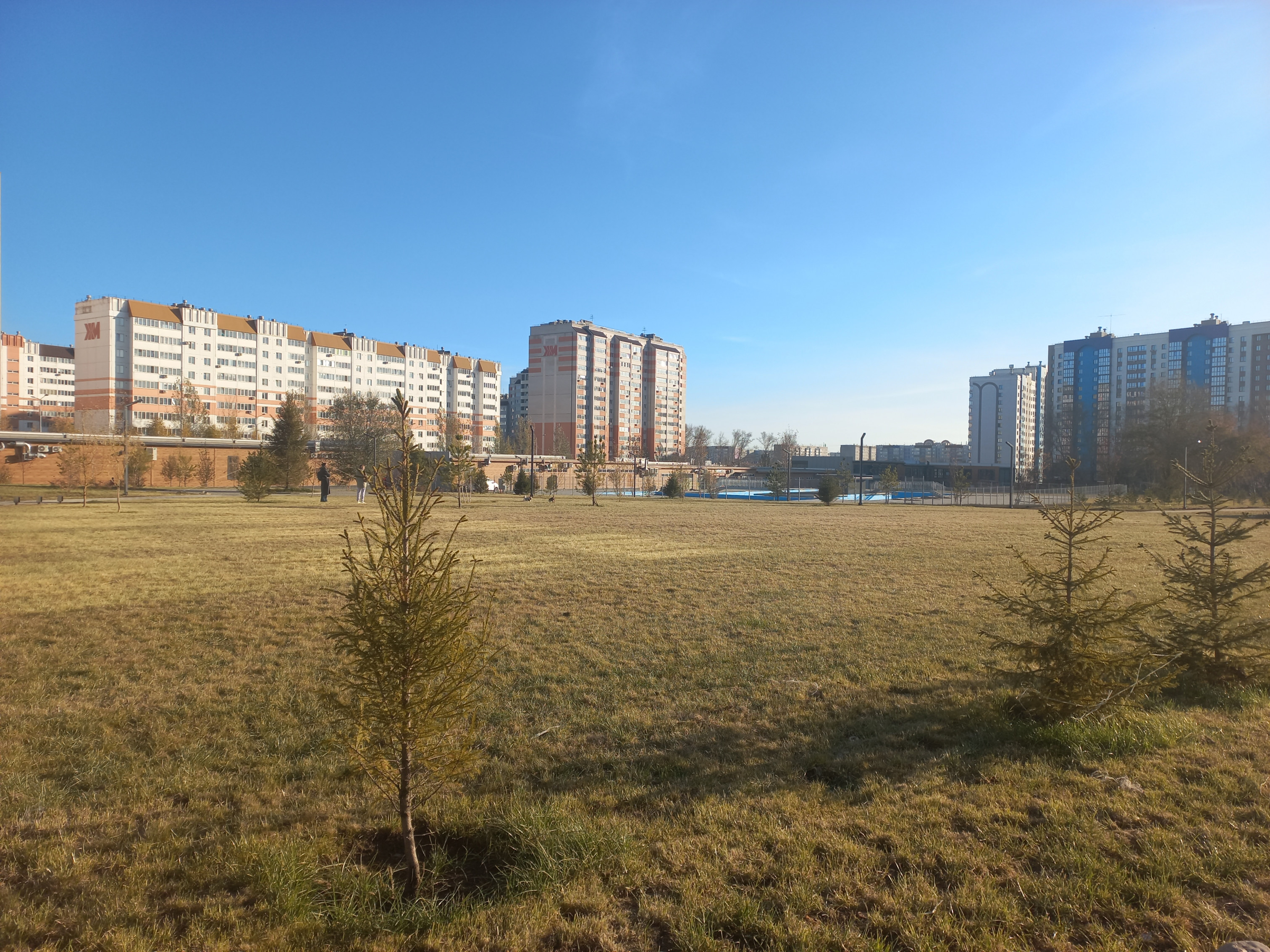 20251031_155147.jpg