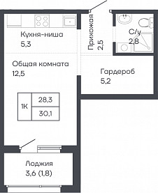 Студия 30 кв. м