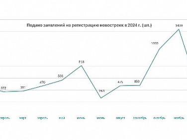 В 2024 году резко упала регистрация договоров долевого участия